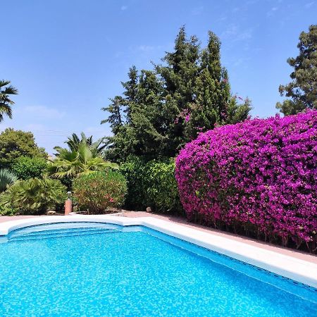 Villa With Private Pool, Bbq, Fitness Center & Sauna San Vicente Raspeig ภายนอก รูปภาพ