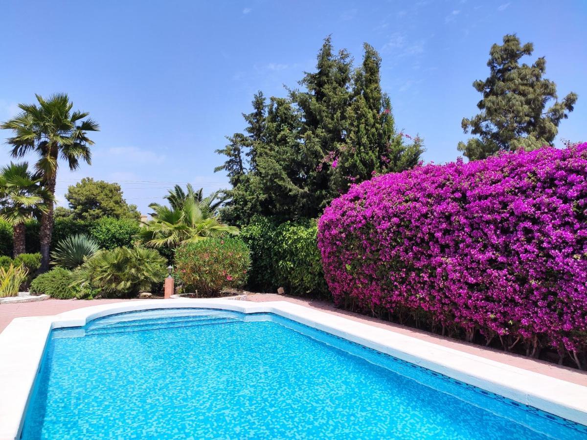 Villa With Private Pool, Bbq, Fitness Center & Sauna San Vicente Raspeig ภายนอก รูปภาพ